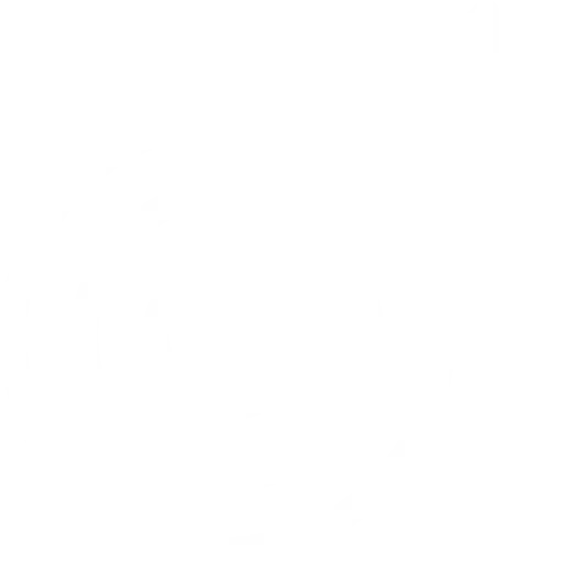 bullseye_icon_alt